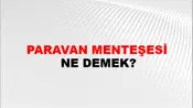 Paravan Menteşesi