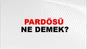 Pardösü