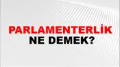 Parlamenterlik