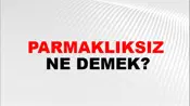 Parmaklıksız