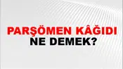 Parşömen Kâğıdı