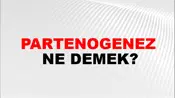 Partenogenez