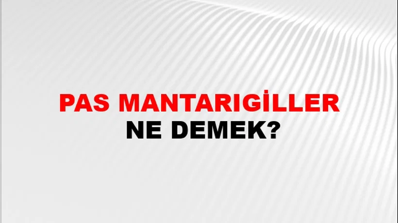 Pas Mantarıgiller Pas Mantarıgiller