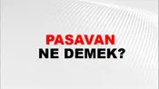Pasavan