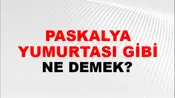 Paskalya Yumurtası Gibi