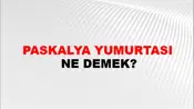 Paskalya Yumurtası