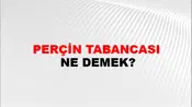 Perçin Tabancası