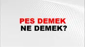 Pes Demek