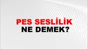 Pes Seslilik