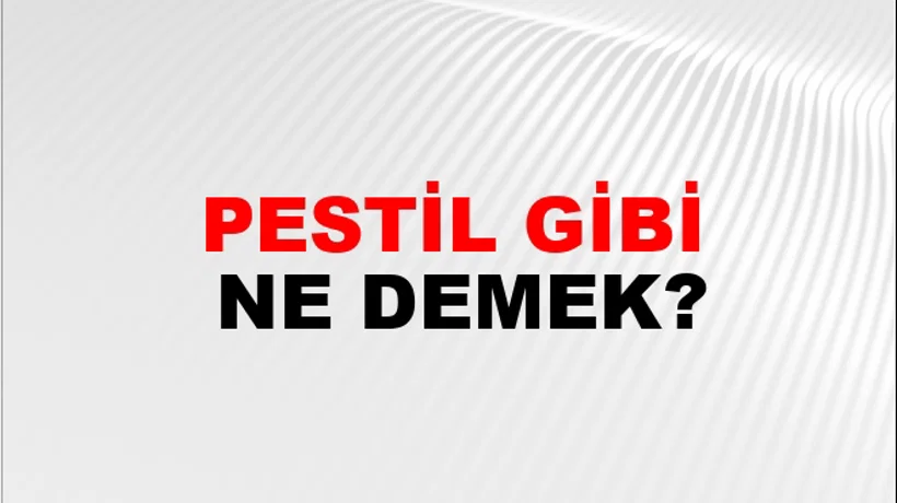 Pestil Gibi Pestil Gibi