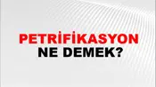 Petrifikasyon