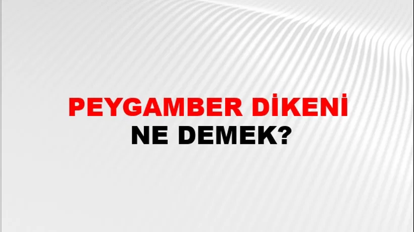 Peygamber Dikeni Peygamber Dikeni