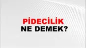 Pidecilik