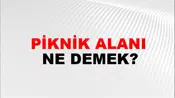 Piknik Alanı