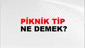 Piknik Tip