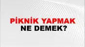 Piknik Yapmak
