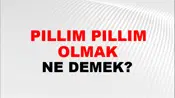 Pıllım Pıllım Olmak