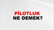 Pilotluk