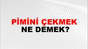 Pimini Çekmek
