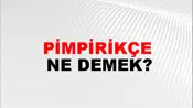 Pimpirikçe