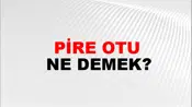 Pire Otu