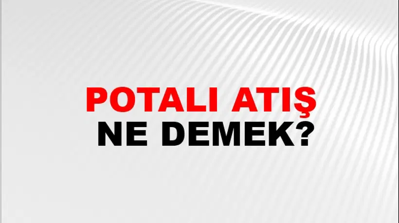 Potalı Atış Potalı Atış