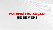 Potansiyel Suçlu
