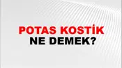 Potas Kostik