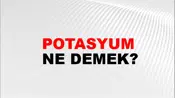 Potasyum