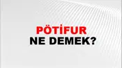 Pötifur