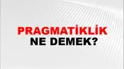 Pragmatiklik