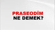 Praseodim