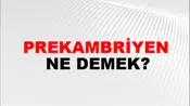Prekambriyen
