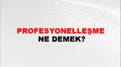 Profesyonelleşme
