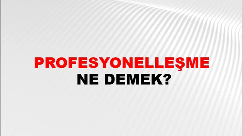 Profesyonelleşme Profesyonelleşme