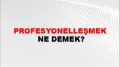 Profesyonelleşmek