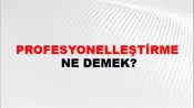 Profesyonelleştirme