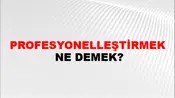 Profesyonelleştirmek