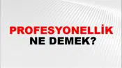 Profesyonellik