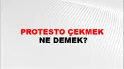 Protesto Çekmek
