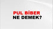 Pul Biber