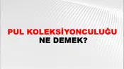 Pul Koleksiyonculuğu