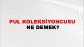 Pul Koleksiyoncusu