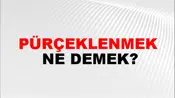 Pürçeklenmek