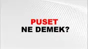 Puset