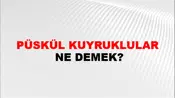 Püskül Kuyruklular