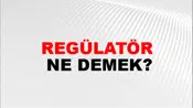 Regülatör