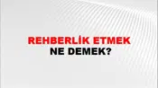 Rehberlik Etmek
