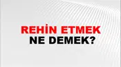 Rehin Etmek