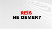 Reis